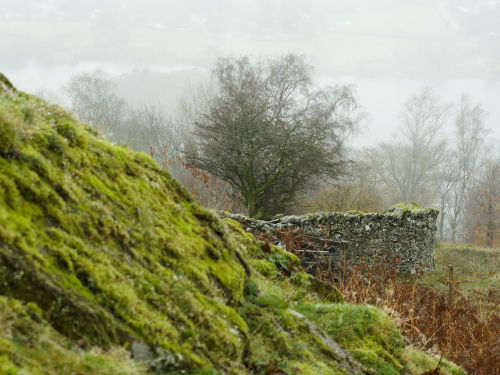 Grasmere in the background.
